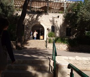 photo: Debra Martens